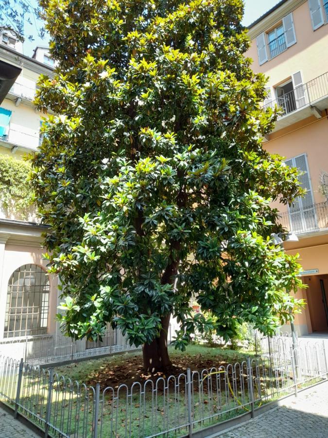 Central Garibaldi Loft, A Piedi A Palazzo Reale Turin Ngoại thất bức ảnh